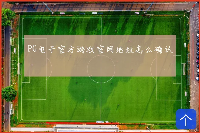PG电子官方游戏官网地址怎么确认